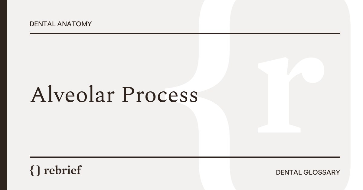 Alveolar Process