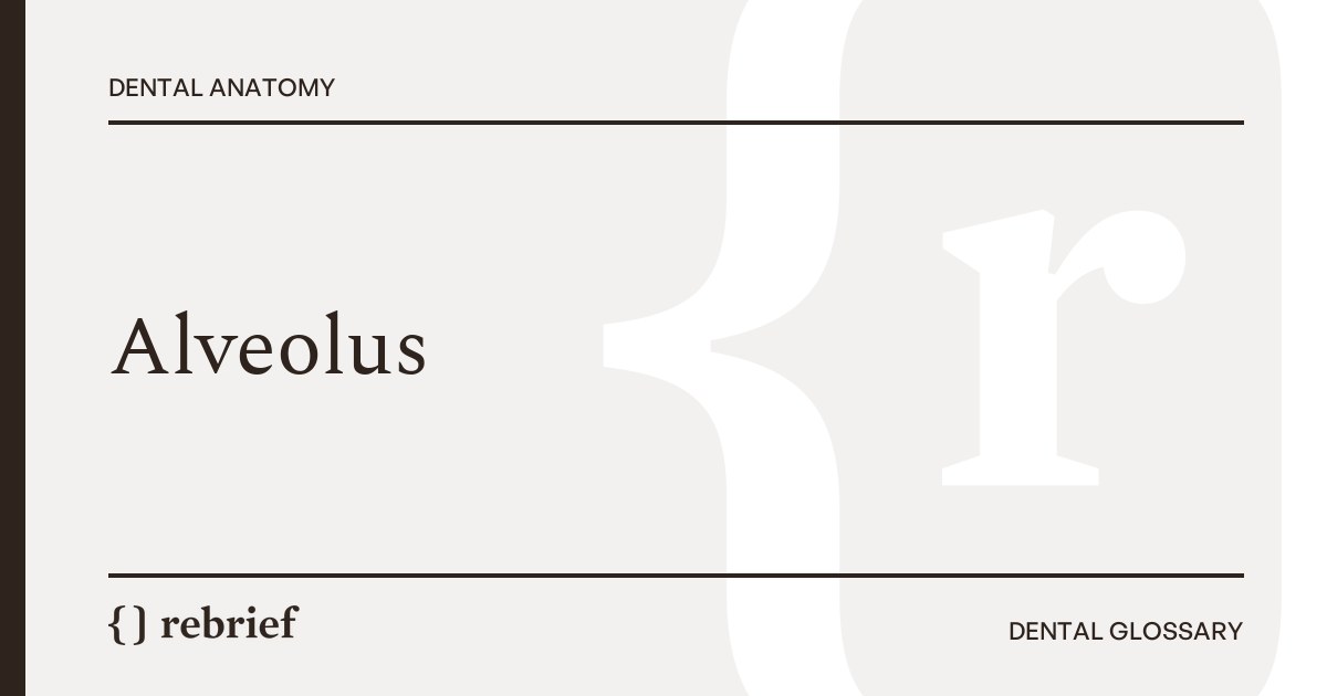 Alveolus