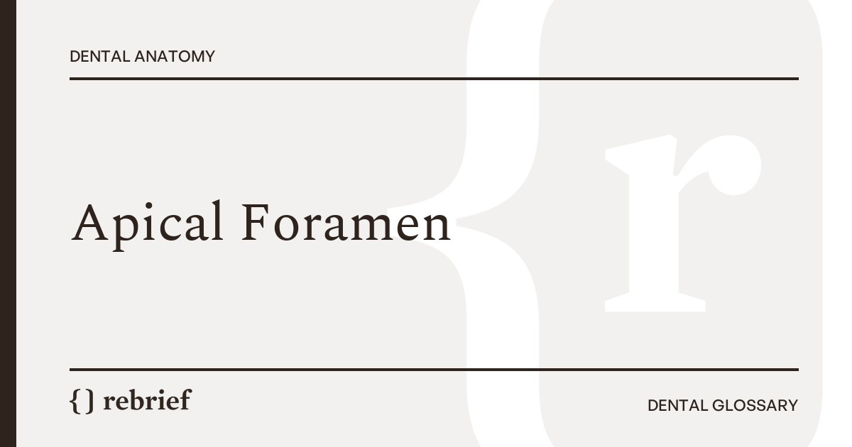 Apical Foramen
