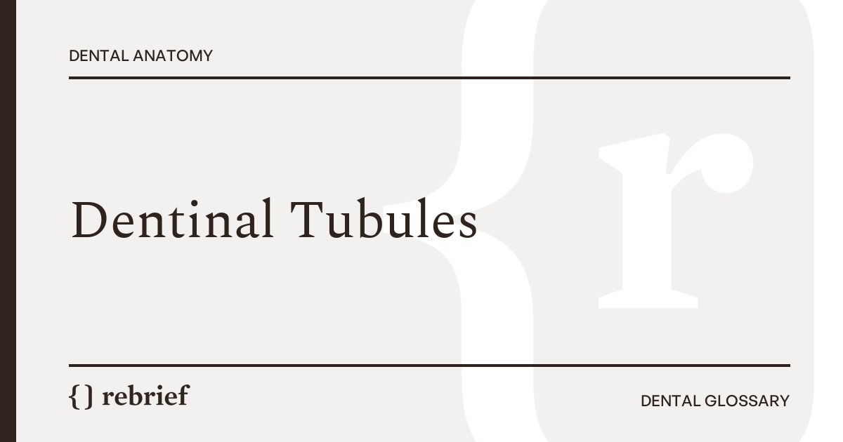 Dentinal Tubules