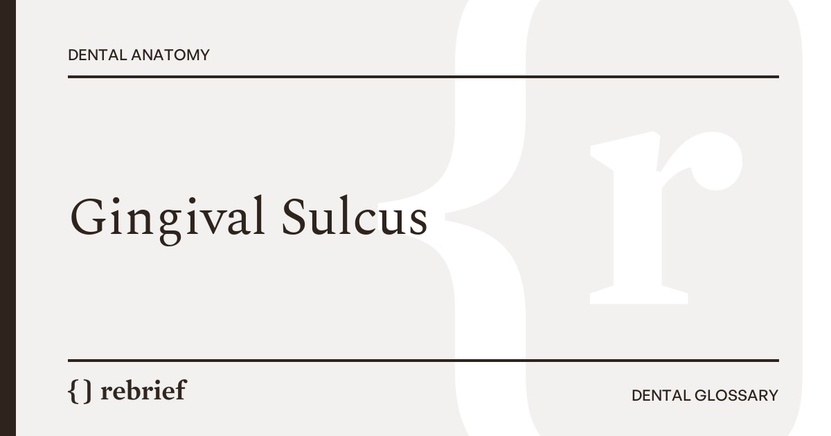 Gingival Sulcus