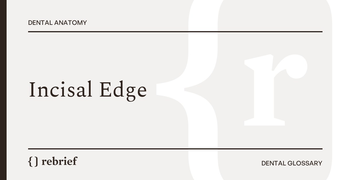 Incisal Edge