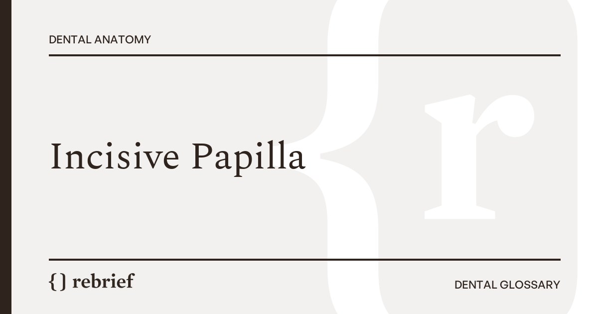 Incisive Papilla