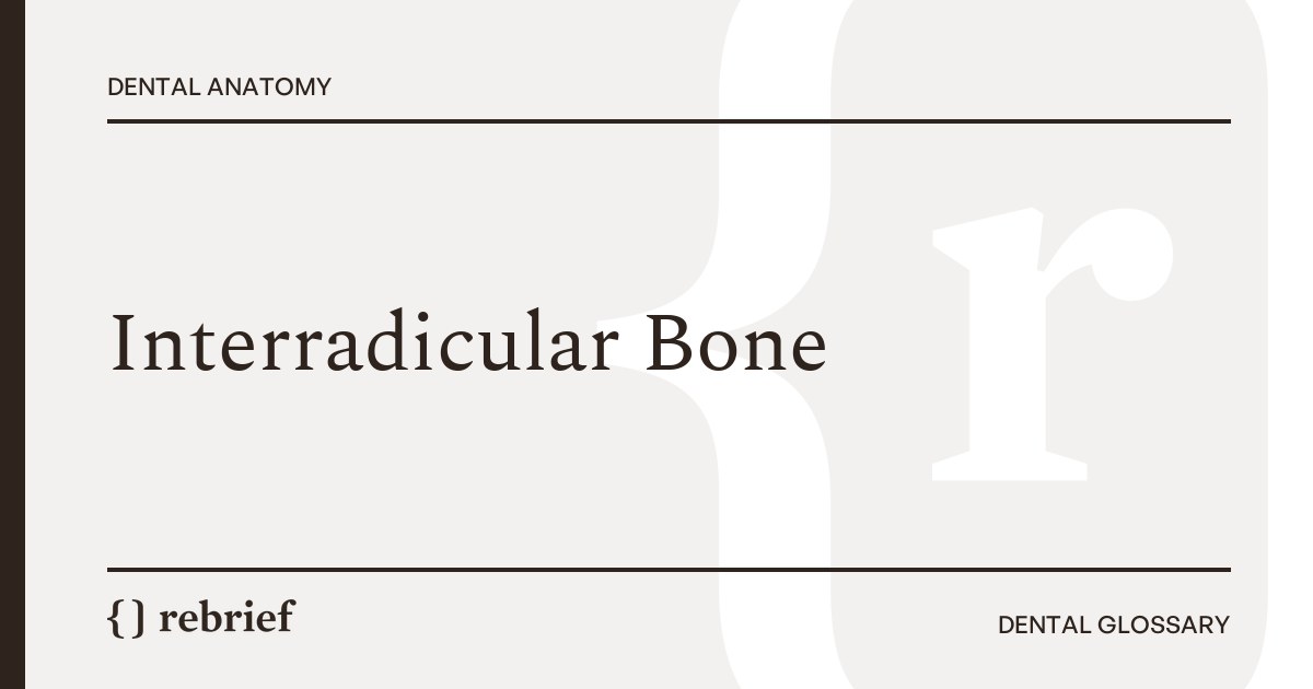 Interradicular Bone
