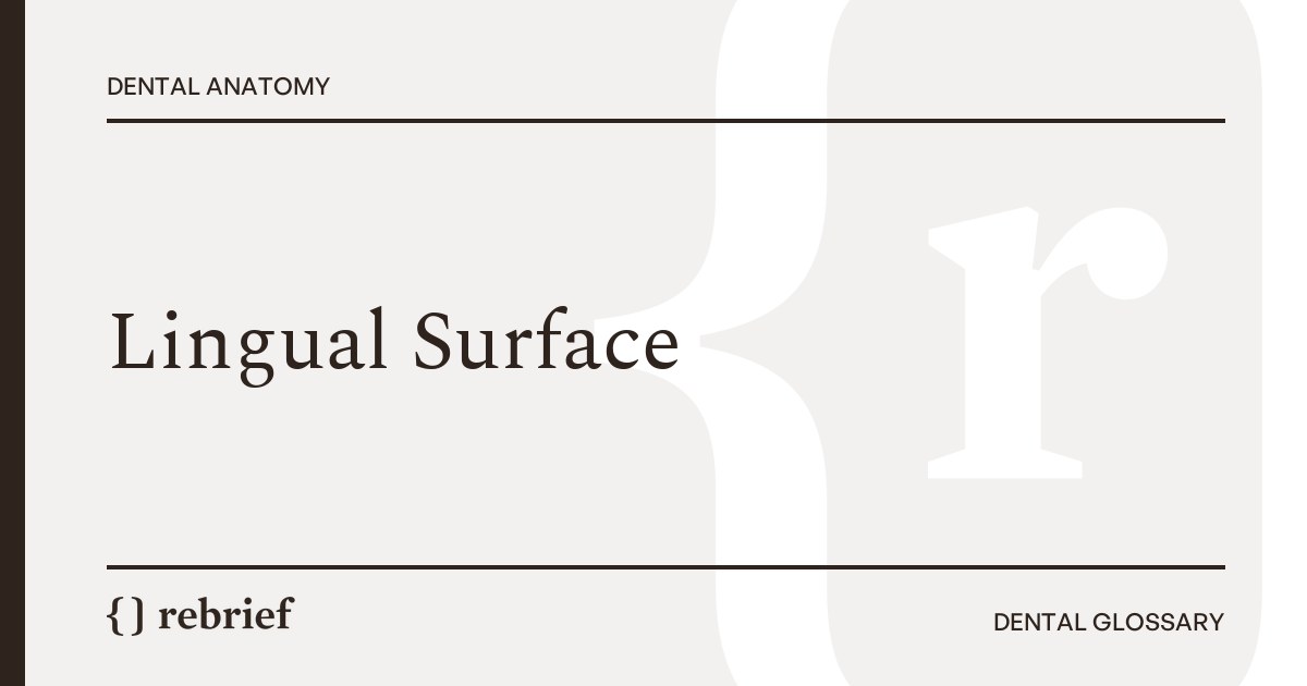 Lingual Surface