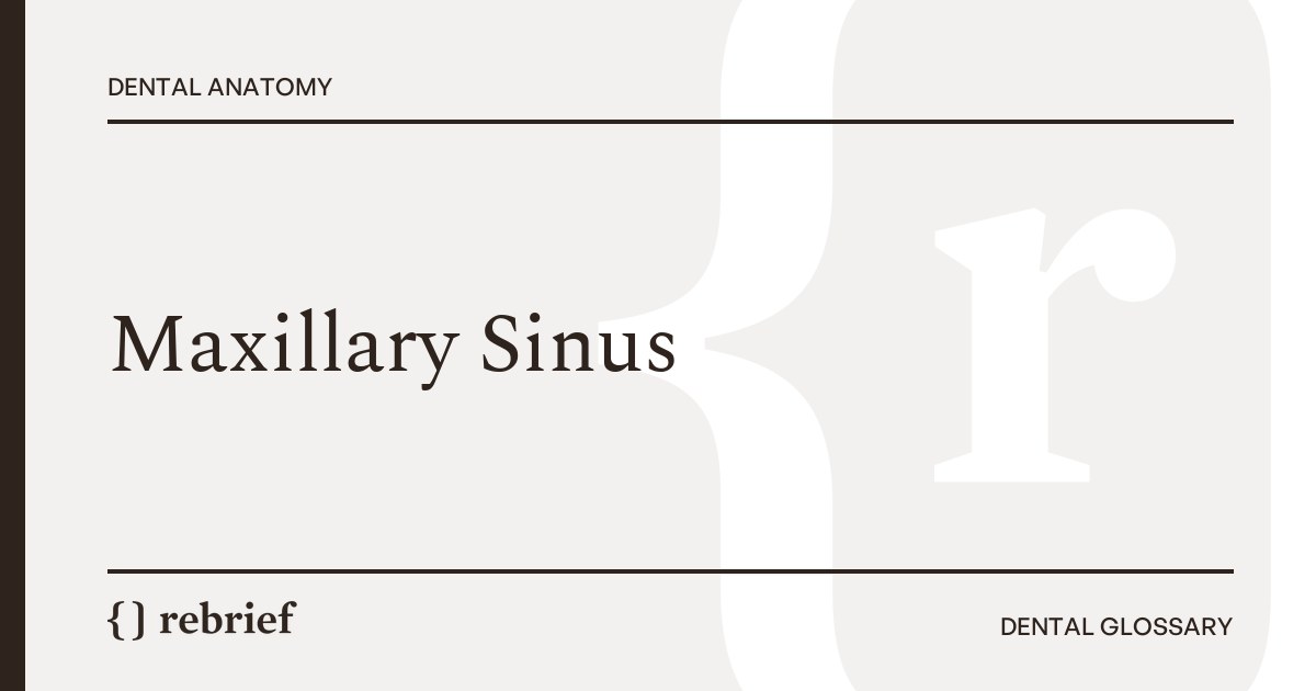 Maxillary Sinus