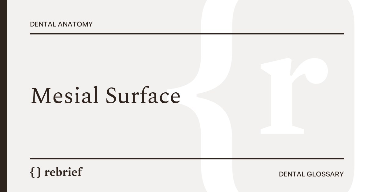 Mesial Surface