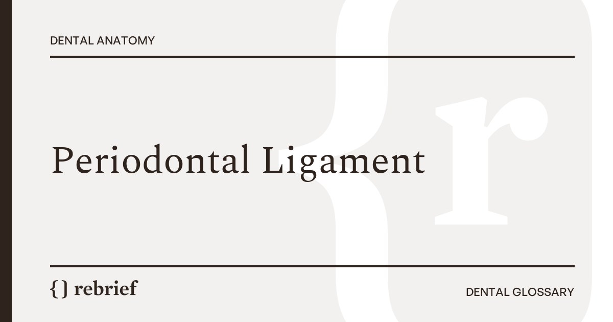 Periodontal Ligament