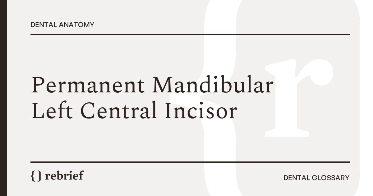 Permanent Mandibular Left Central Incisor
