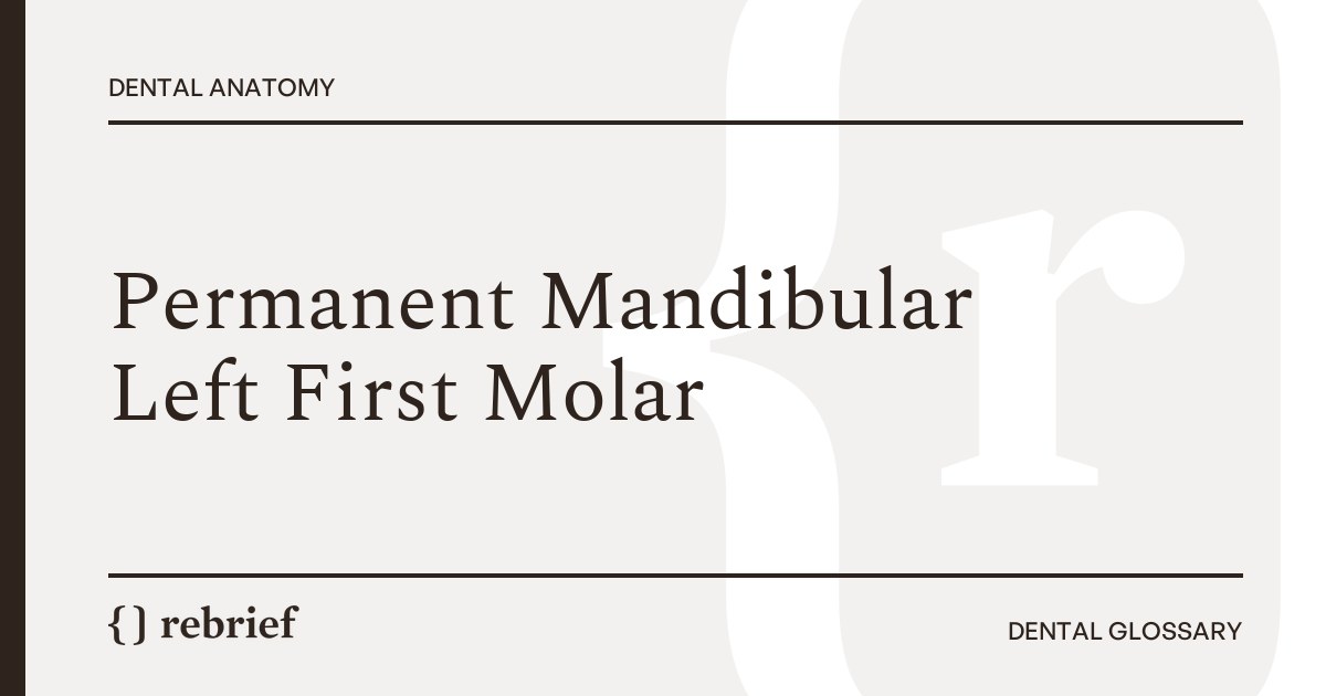 Permanent Mandibular Left First Molar