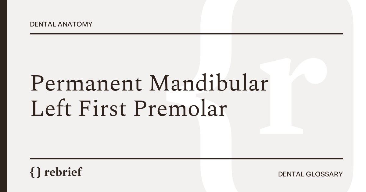 Permanent Mandibular Left First Premolar