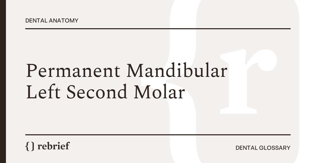 Permanent Mandibular Left Second Molar