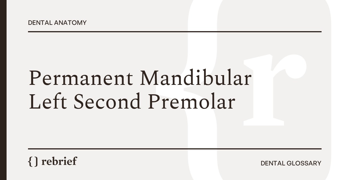 Permanent Mandibular Left Second Premolar