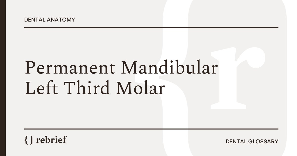 Permanent Mandibular Left Third Molar