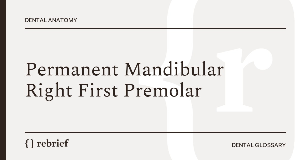 Permanent Mandibular Right First Premolar