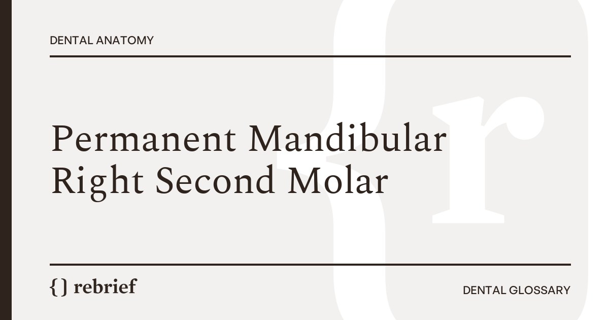 Permanent Mandibular Right Second Molar