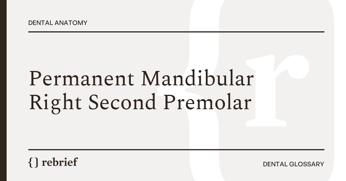 Permanent Mandibular Right Second Premolar