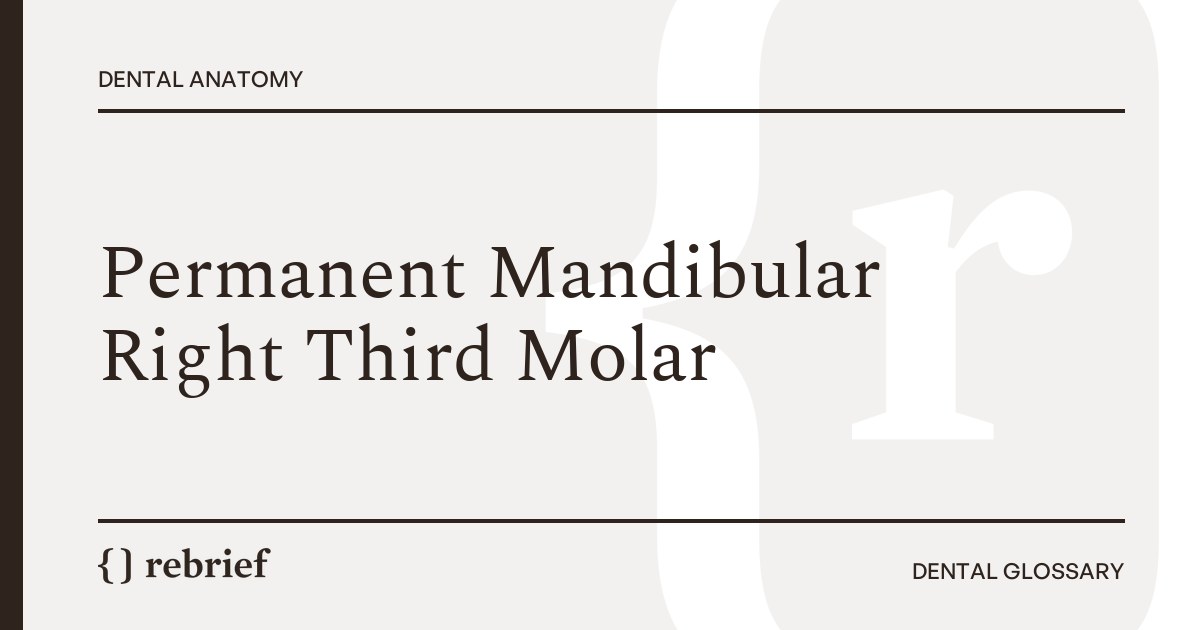 Permanent Mandibular Right Third Molar