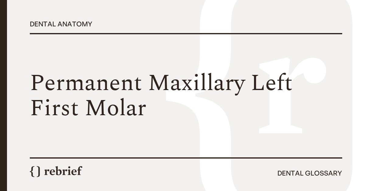 Permanent Maxillary Left First Molar