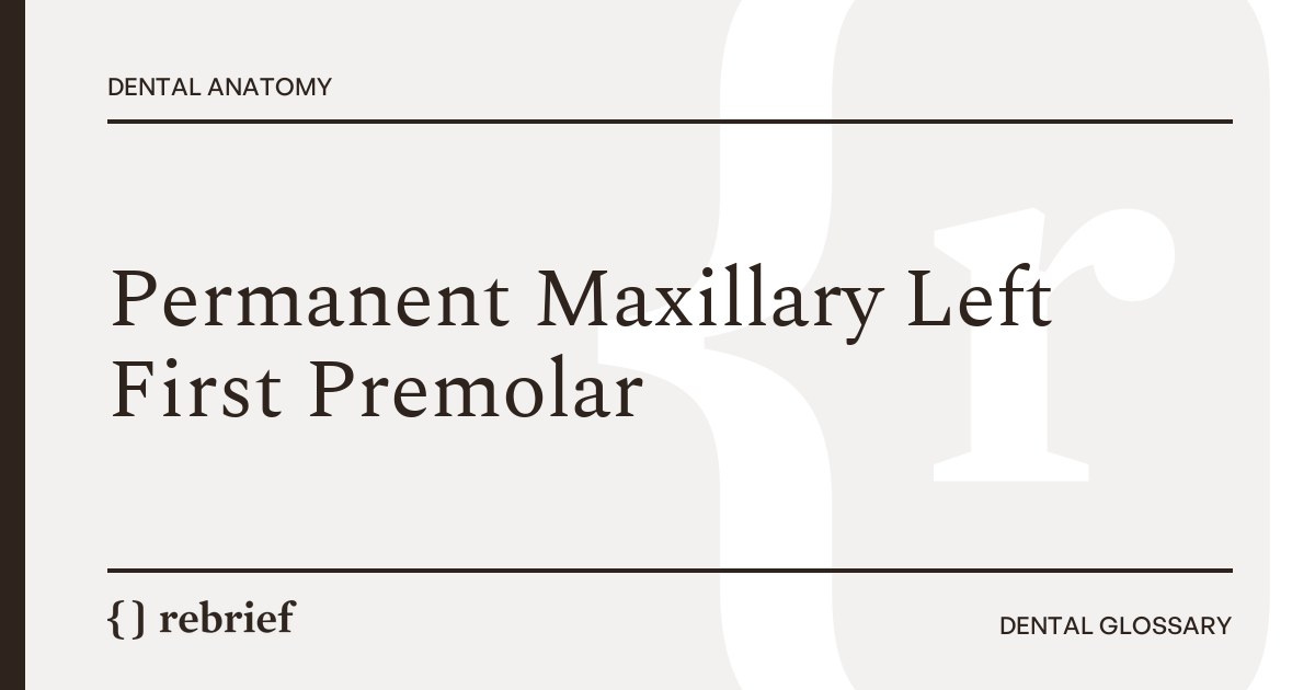 Permanent Maxillary Left First Premolar