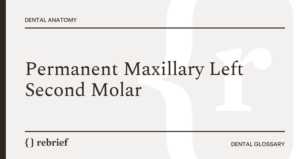 Permanent Maxillary Left Second Molar