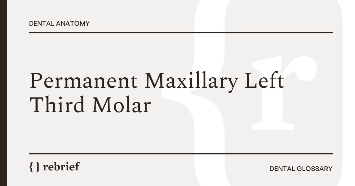 Permanent Maxillary Left Third Molar