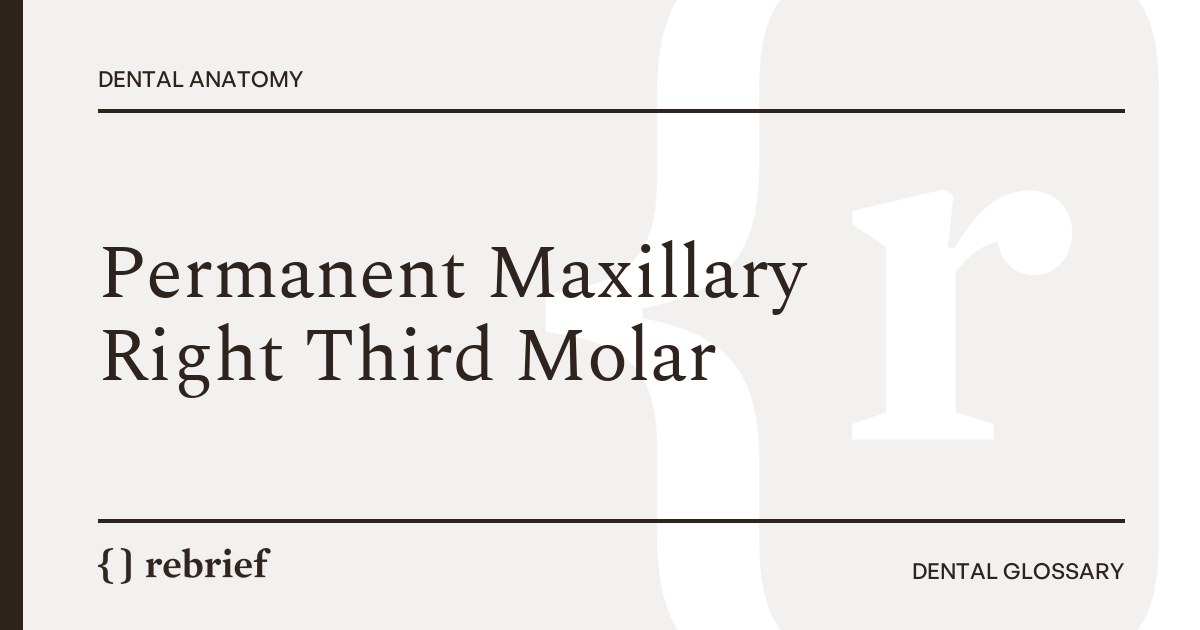 Permanent Maxillary Right Third Molar