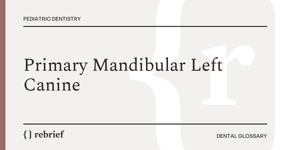 Primary Mandibular Left Canine
