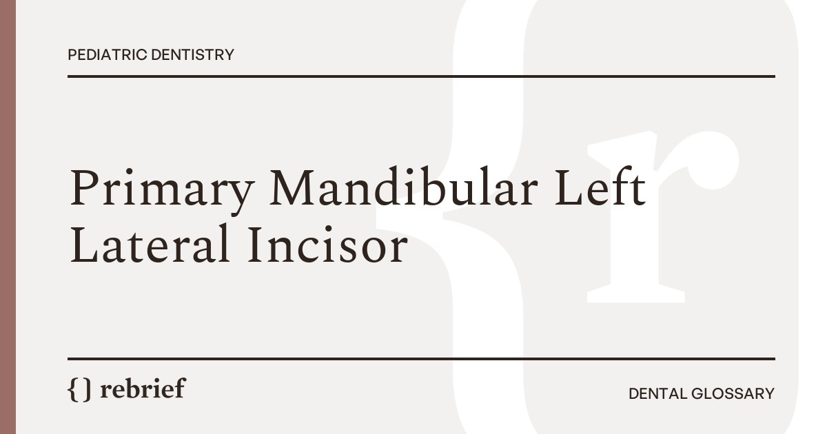 Primary Mandibular Left Lateral Incisor