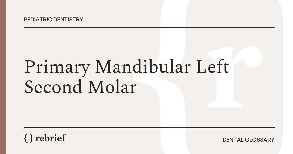 Primary Mandibular Left Second Molar