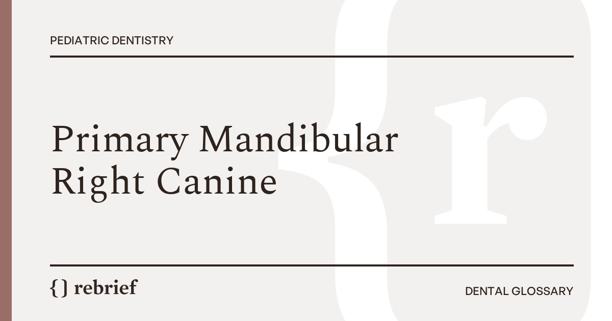 Primary Mandibular Right Canine