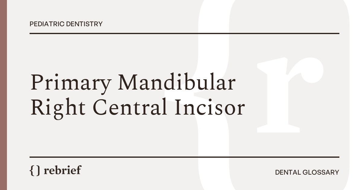 Primary Mandibular Right Central Incisor