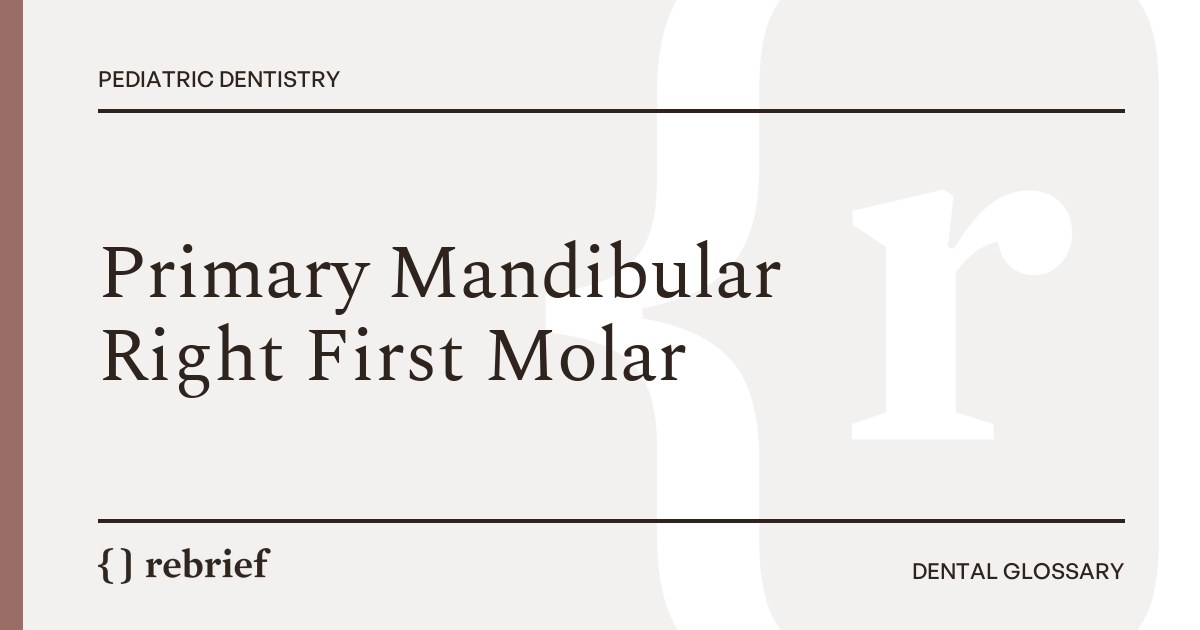Primary Mandibular Right First Molar