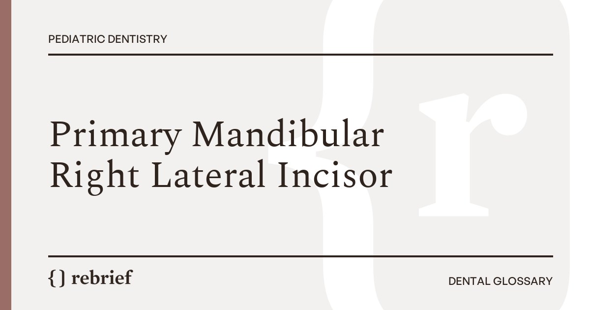 Primary Mandibular Right Lateral Incisor