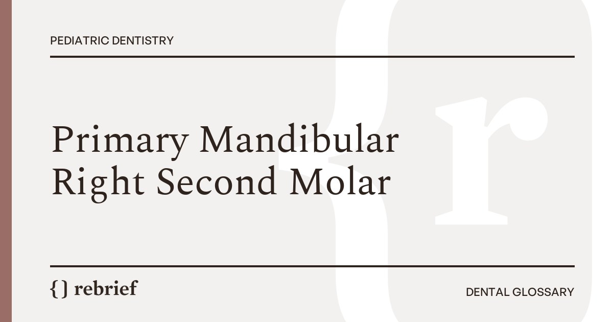 Primary Mandibular Right Second Molar