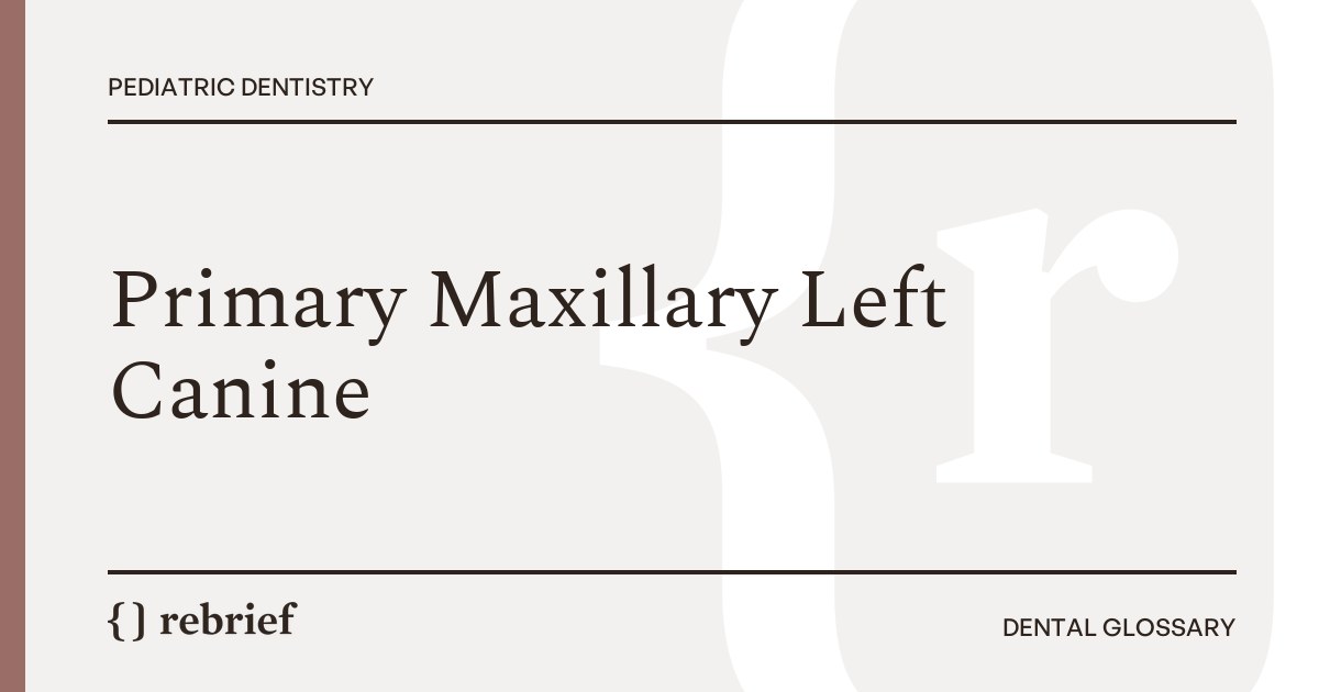 Primary Maxillary Left Canine