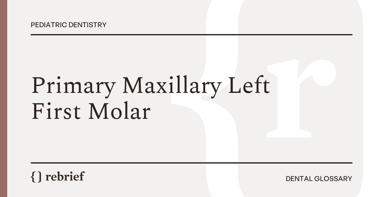 Primary Maxillary Left First Molar