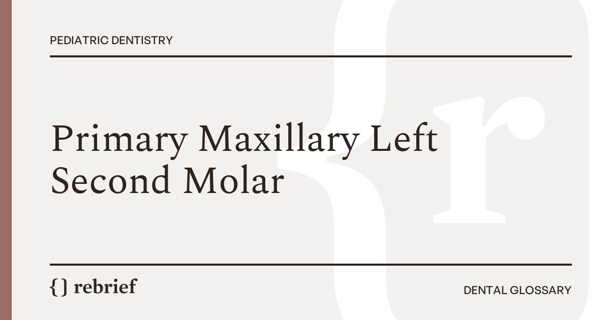 Primary Maxillary Left Second Molar