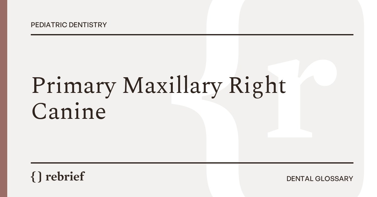 Primary Maxillary Right Canine