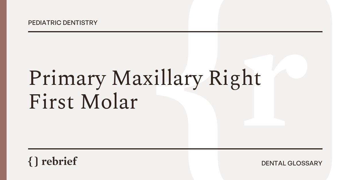 Primary Maxillary Right First Molar