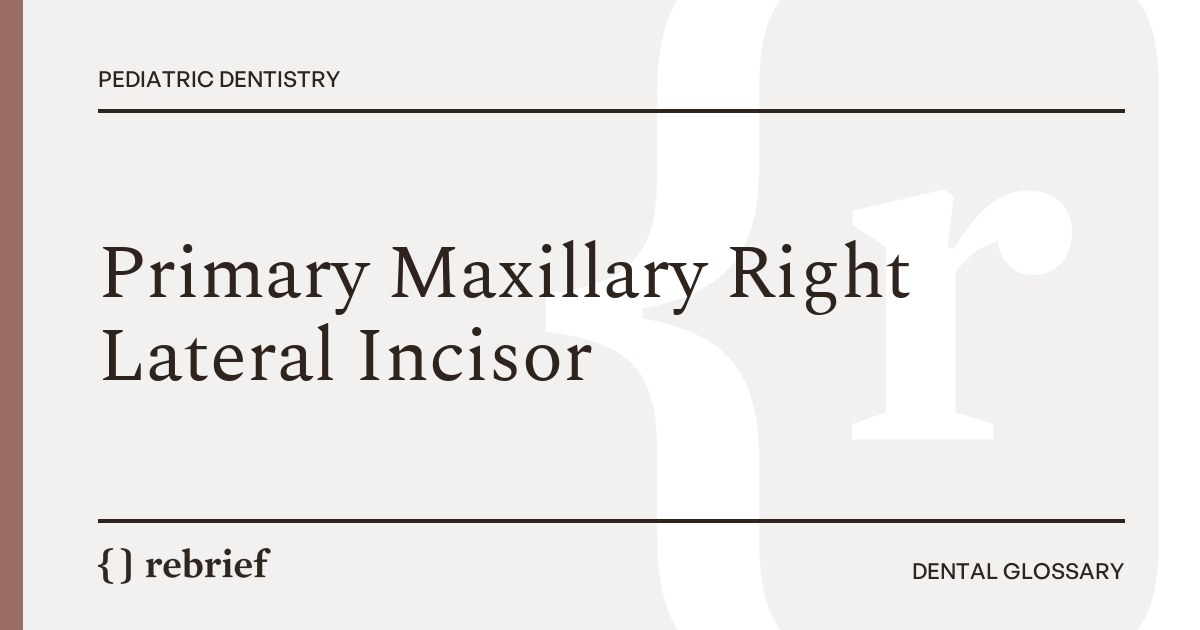 Primary Maxillary Right Lateral Incisor