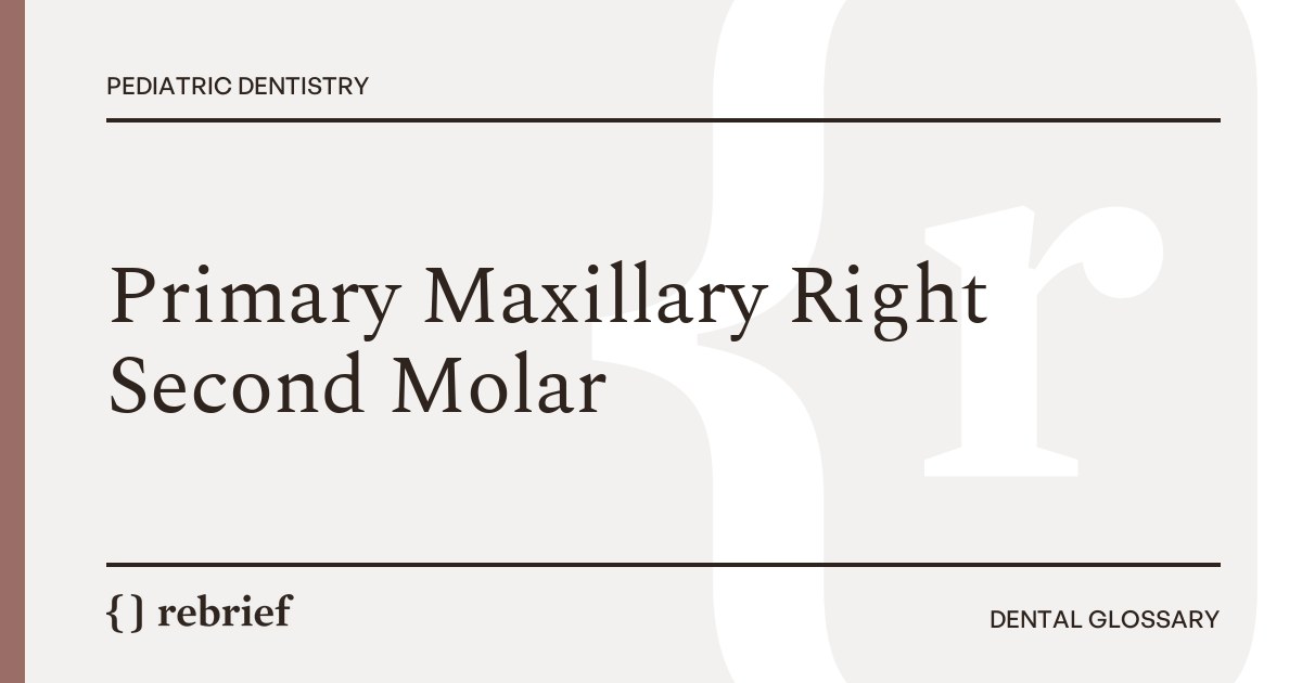 Primary Maxillary Right Second Molar