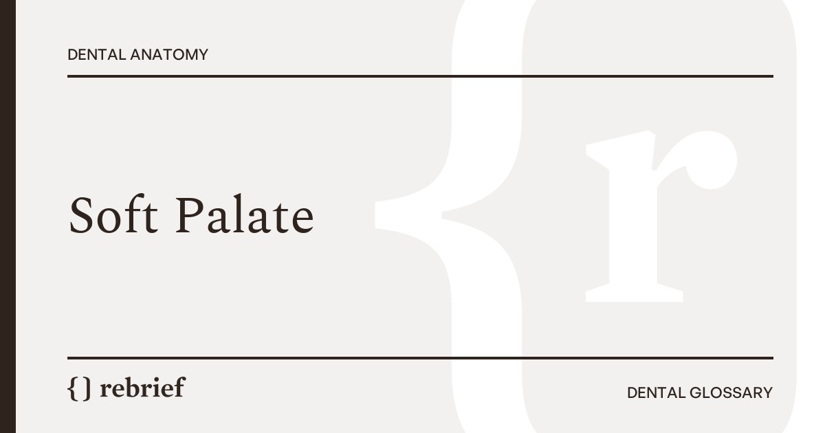 Soft Palate