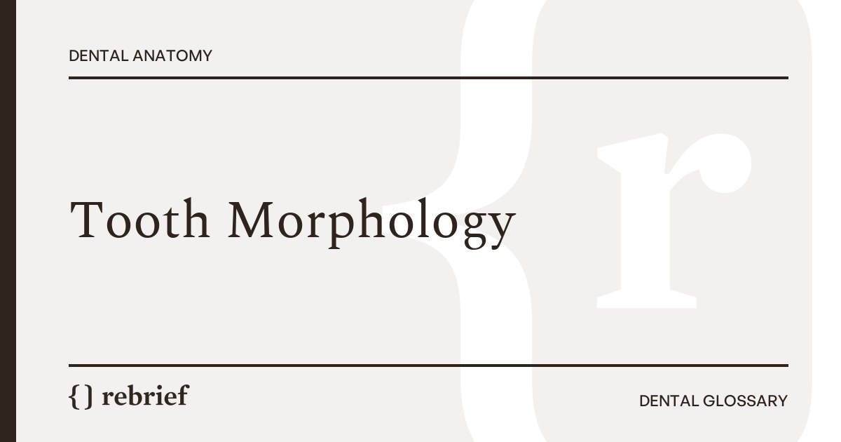 Tooth Morphology